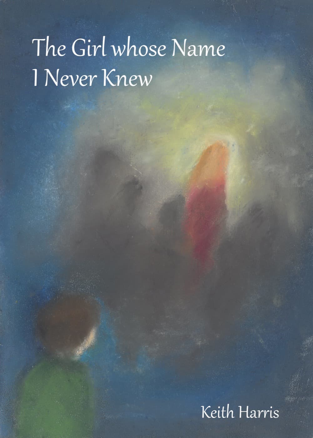 The Girl whose Name I Never Knew cover